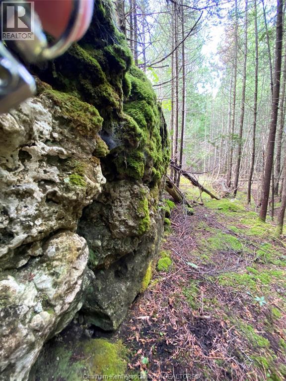 V/l Warner Bay Road, Bruce County, Ontario  N0H 2R0 - Photo 14 - 25026500