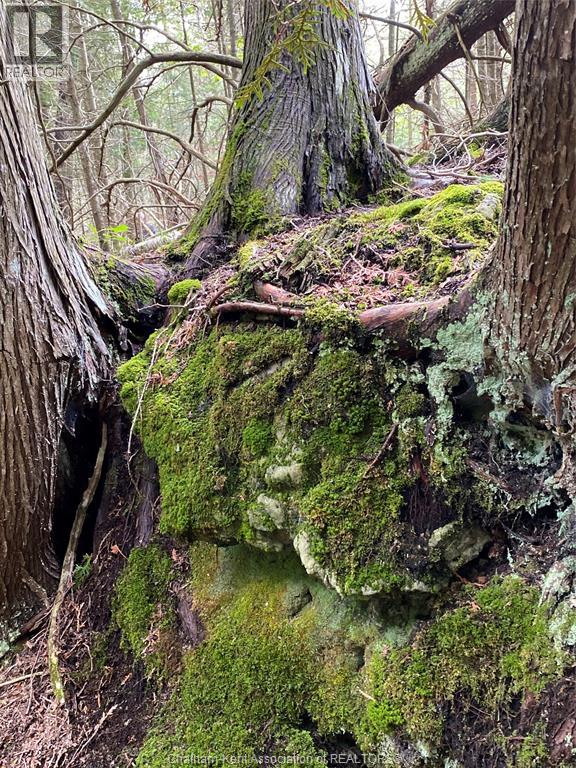 V/l Warner Bay Road, Bruce County, Ontario  N0H 2R0 - Photo 19 - 25026500