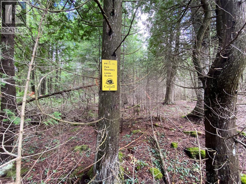 V/l Warner Bay Road, Bruce County, Ontario  N0H 2R0 - Photo 21 - 25026500