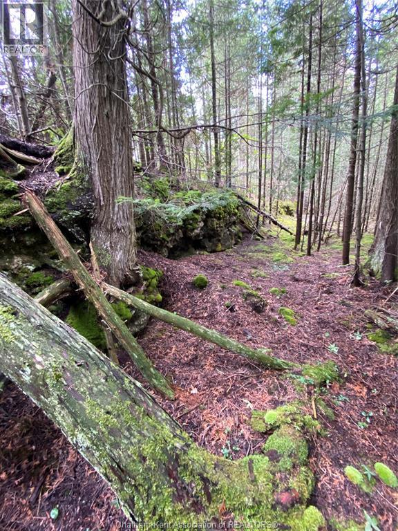 V/l Warner Bay Road, Bruce County, Ontario  N0H 2R0 - Photo 22 - 25026500