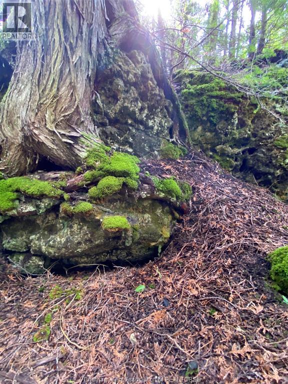 V/l Warner Bay Road, Bruce County, Ontario  N0H 2R0 - Photo 24 - 25026500