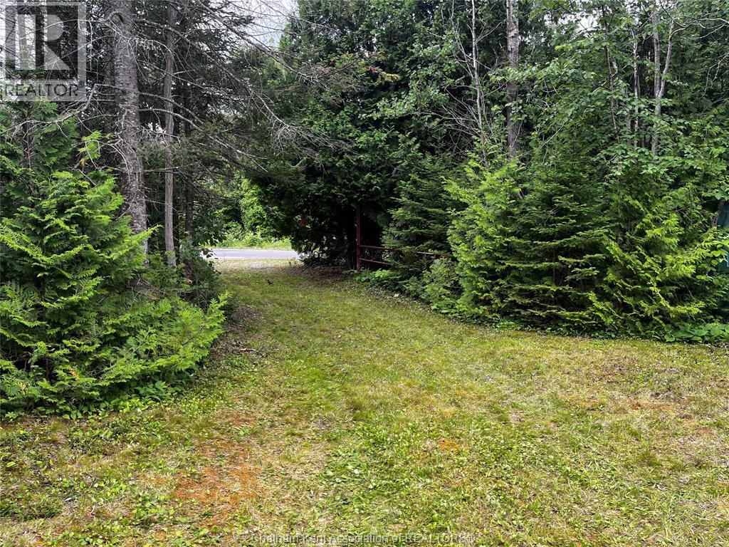 V/l Warner Bay Road, Bruce County, Ontario  N0H 2R0 - Photo 4 - 25026500