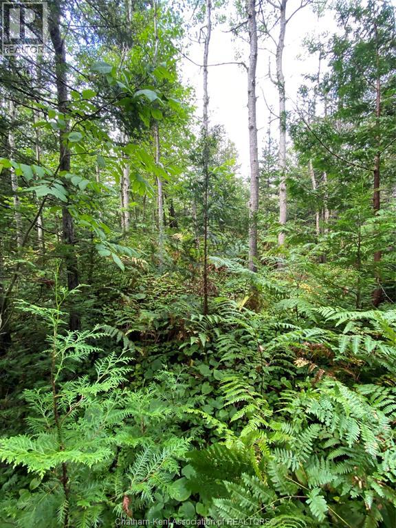 V/l Warner Bay Road, Bruce County, Ontario  N0H 2R0 - Photo 43 - 25026500