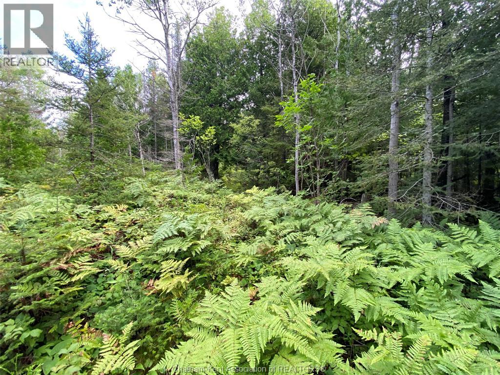 V/l Warner Bay Road, Bruce County, Ontario  N0H 2R0 - Photo 44 - 25026500