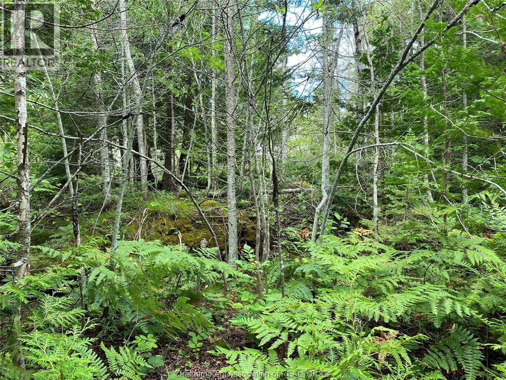 V/l Warner Bay Road, Bruce County, Ontario  N0H 2R0 - Photo 45 - 25026500