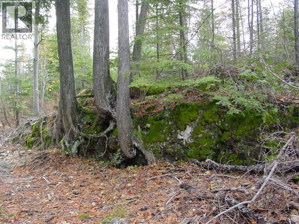 V/l Warner Bay Road, Bruce County, Ontario  N0H 2R0 - Photo 5 - 25026500