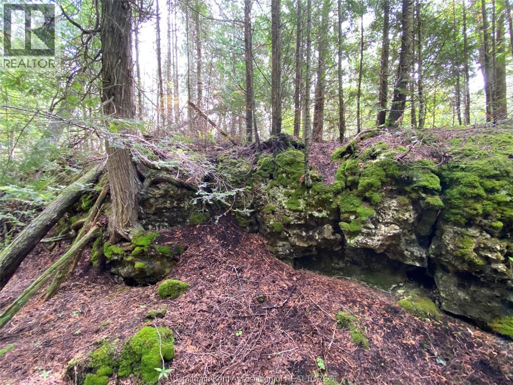 V/l Warner Bay Road, Bruce County, Ontario  N0H 2R0 - Photo 7 - 25026500