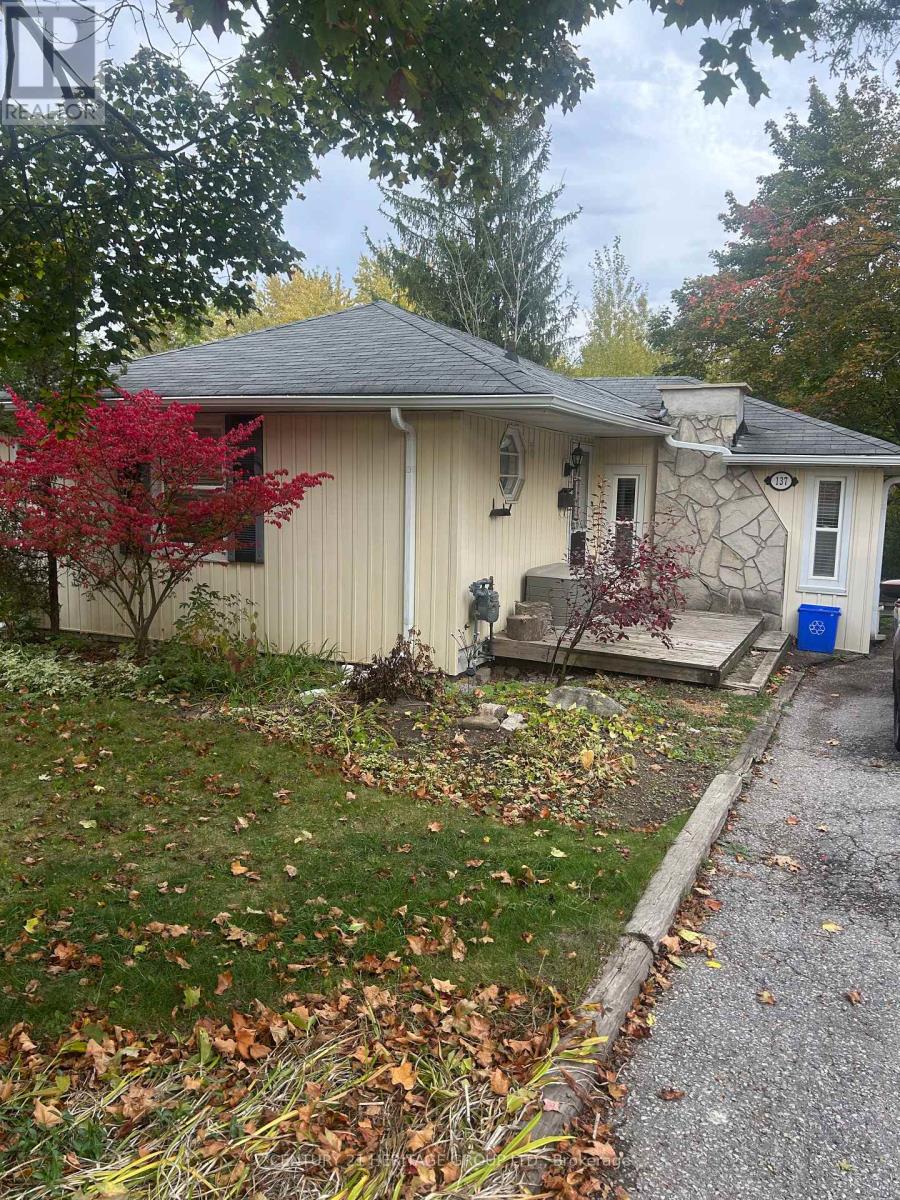 Bsmt - 137 Gurnett Street, Aurora, Ontario  L4G 1P7 - Photo 1 - N12470739