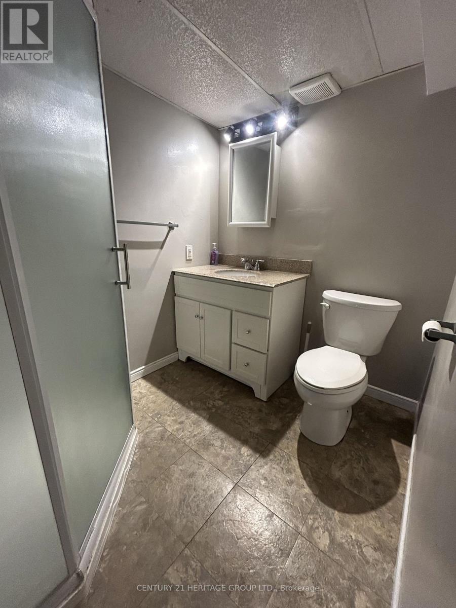 Bsmt - 137 Gurnett Street, Aurora, Ontario  L4G 1P7 - Photo 10 - N12470739