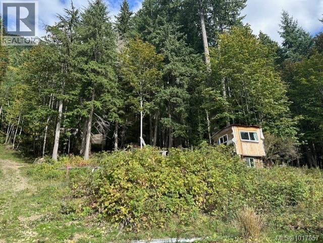 9725 Youbou Rd, Youbou, British Columbia  V0R 3E1 - Photo 3 - 1017857