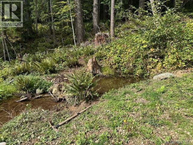 9725 Youbou Rd, Youbou, British Columbia  V0R 3E1 - Photo 4 - 1017857