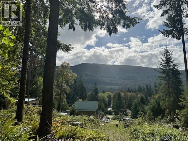 9725 Youbou Rd, Youbou, British Columbia  V0R 3E1 - Photo 5 - 1017857