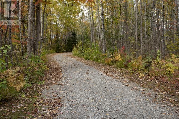 200 Watson Rd, Echo Bay, Ontario  P0S 1C0 - Photo 9 - SM252975