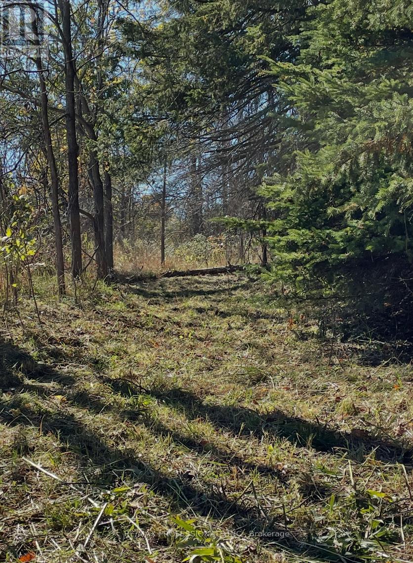 14070 Dublin Line Line, Halton Hills, Ontario  L7J 2L9 - Photo 15 - W12467314