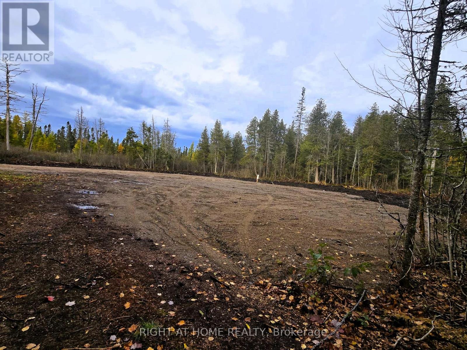 2503 Fern Glen, Mcmurrich/monteith, Ontario  P0A 1Y0 - Photo 12 - X12470908