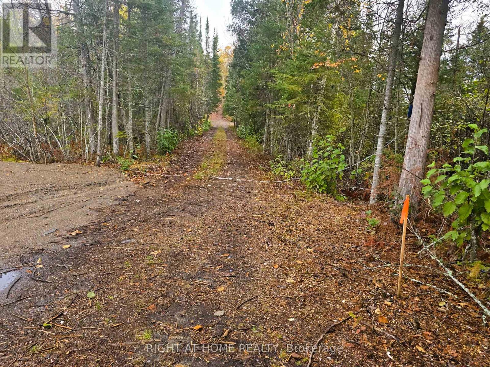 2503 Fern Glen, Mcmurrich/monteith, Ontario  P0A 1Y0 - Photo 14 - X12470908