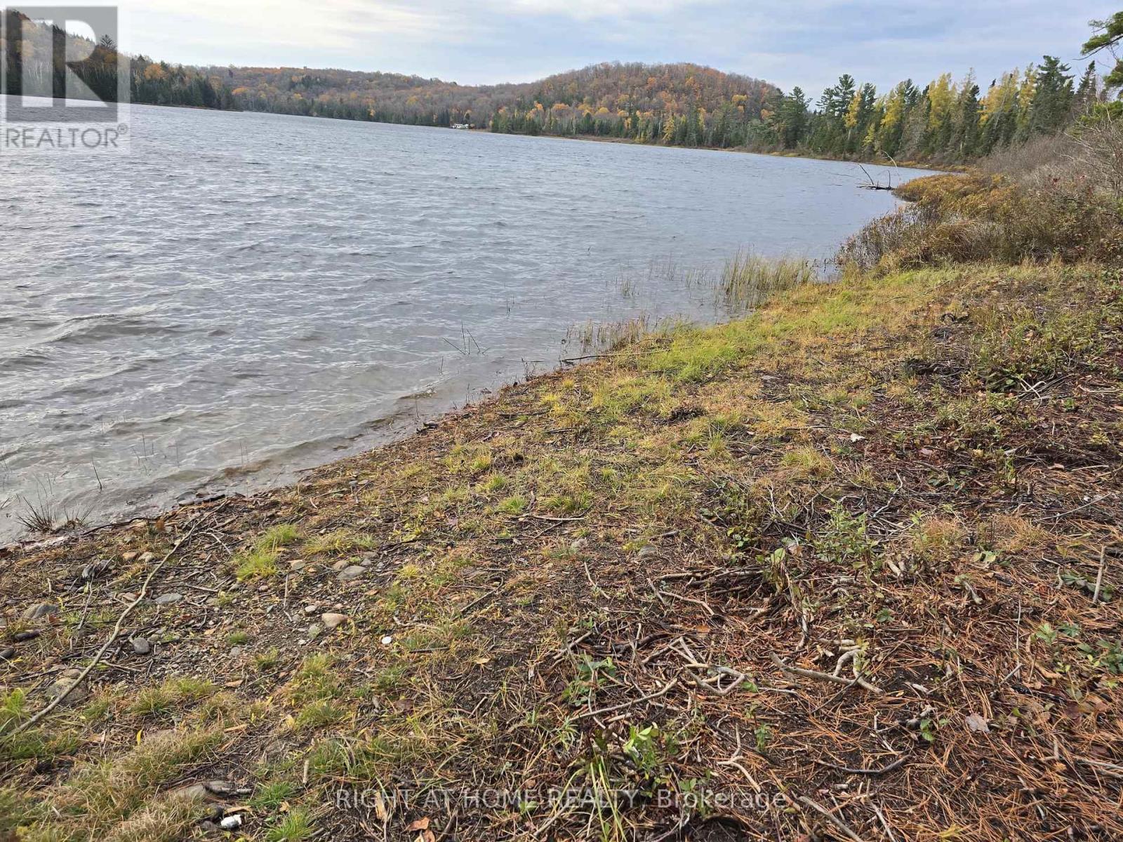 2503 Fern Glen, Mcmurrich/monteith, Ontario  P0A 1Y0 - Photo 4 - X12470908