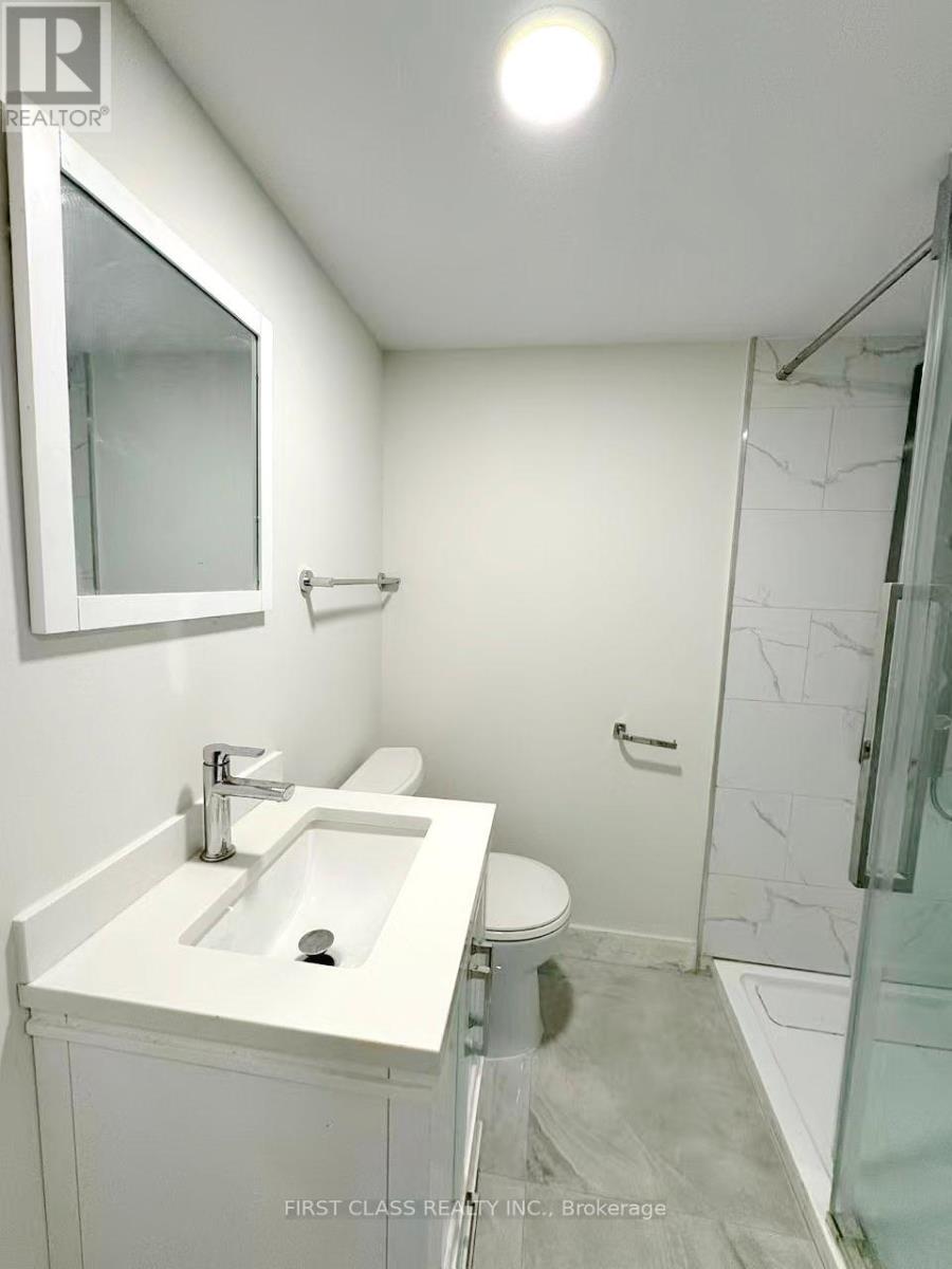 Lower - 741 Proctor Road, Burlington, Ontario  L7R 3E5 - Photo 21 - W12470923