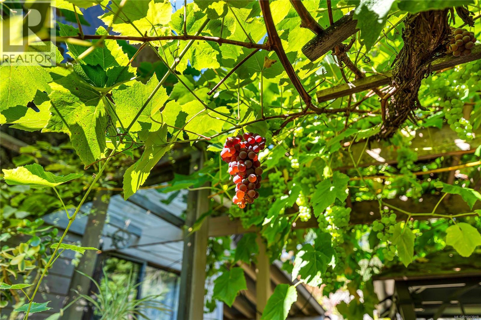 107 Pine Pl, Salt Spring, British Columbia  V8K 2N4 - Photo 11 - 1013918