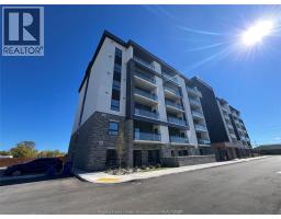 11646 TECUMSEH Road Unit# 309