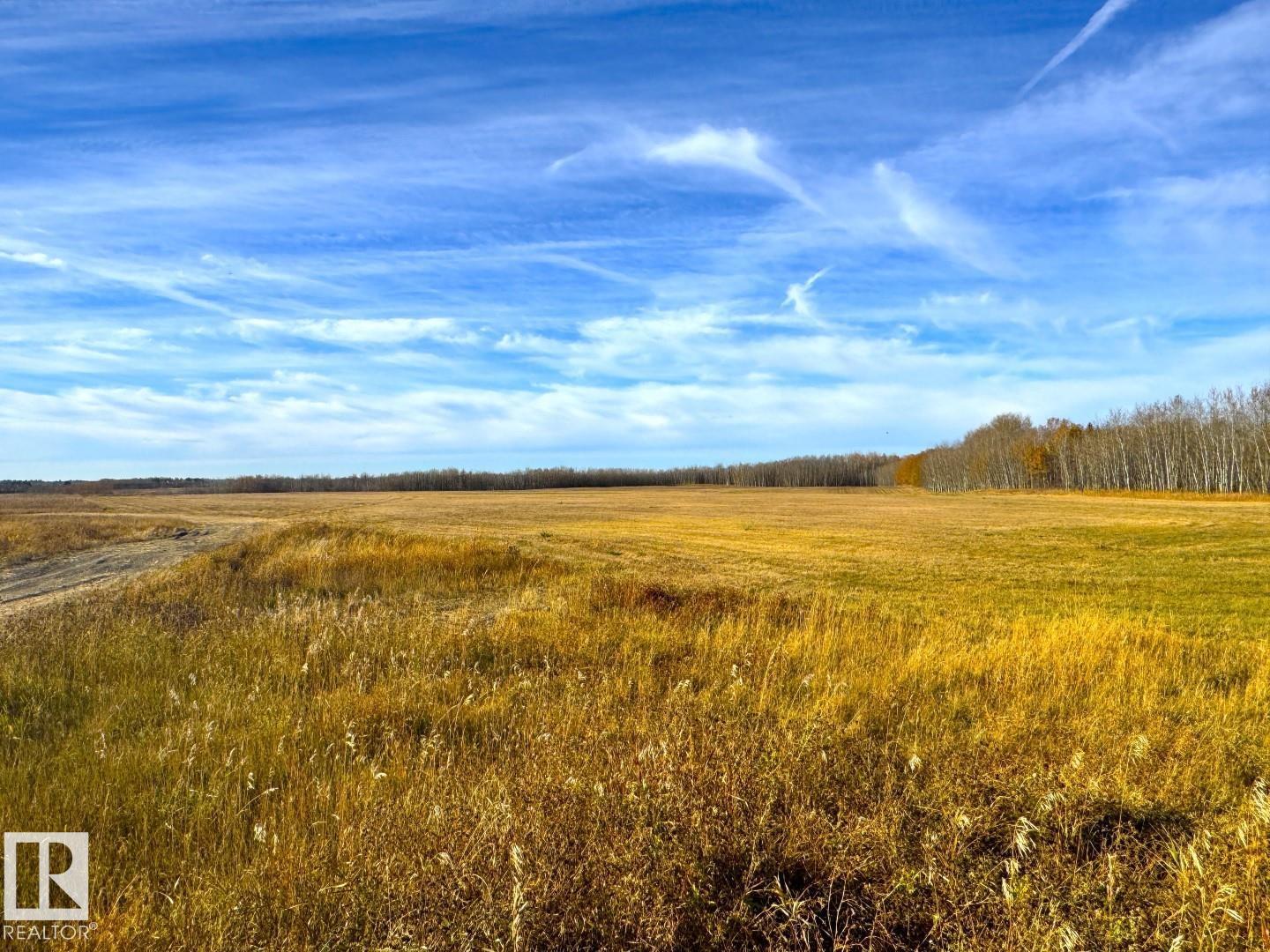 Centre St North Of Centre Av, New Sarepta, Alberta  T0B 3M3 - Photo 10 - E4462761