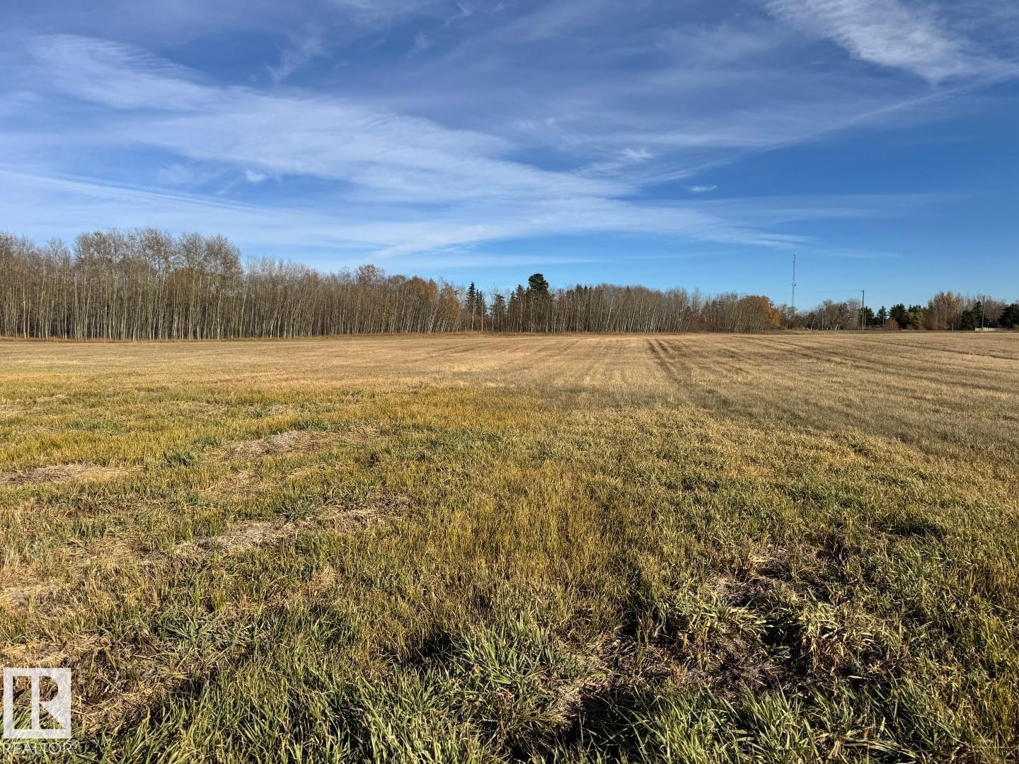 Centre St North Of Centre Av, New Sarepta, Alberta  T0B 3M3 - Photo 14 - E4462761