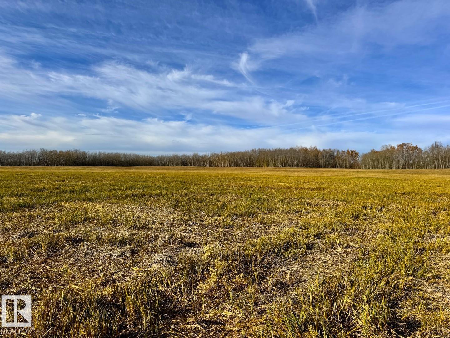Centre St North Of Centre Av, New Sarepta, Alberta  T0B 3M3 - Photo 16 - E4462761