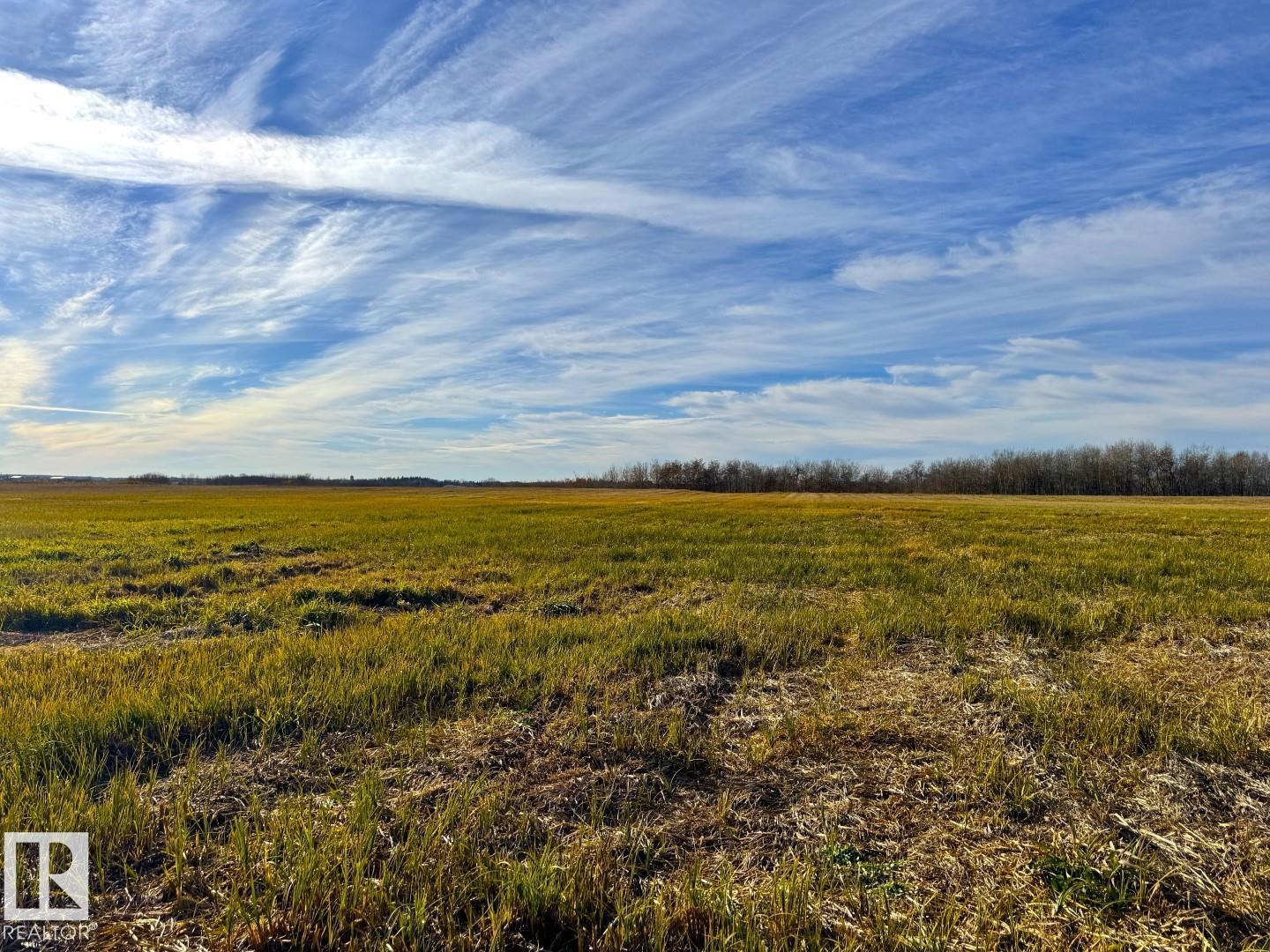 Centre St North Of Centre Av, New Sarepta, Alberta  T0B 3M3 - Photo 6 - E4462761