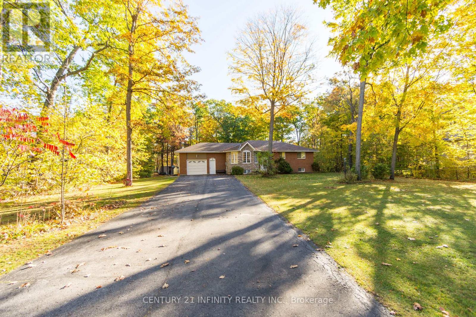 37 Riverside Drive, Trent Hills, Ontario  K0L 1L0 - Photo 5 - X12471038