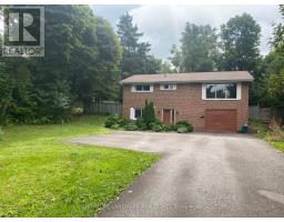 LOWER - 1052 ELGIN STREET, Newmarket, Ontario