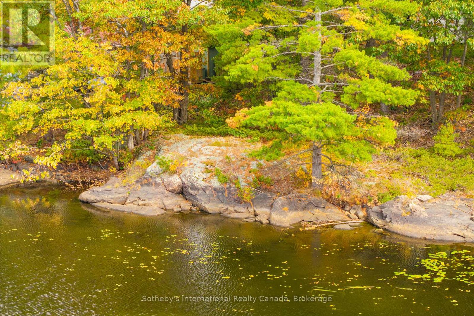 1144 South Morrison Lake Road, Gravenhurst (Morrison), Ontario  P0E 1N0 - Photo 8 - X12471061