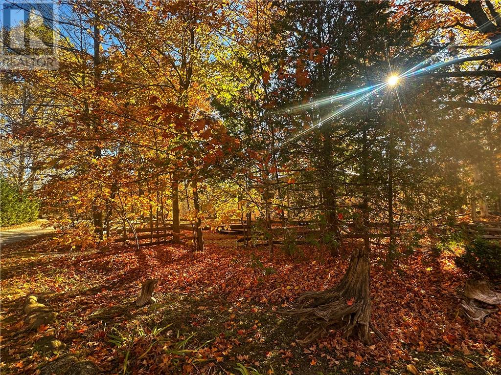 77 Digby Side Road, Mindemoya, Ontario  P0P 1S0 - Photo 4 - 2124667
