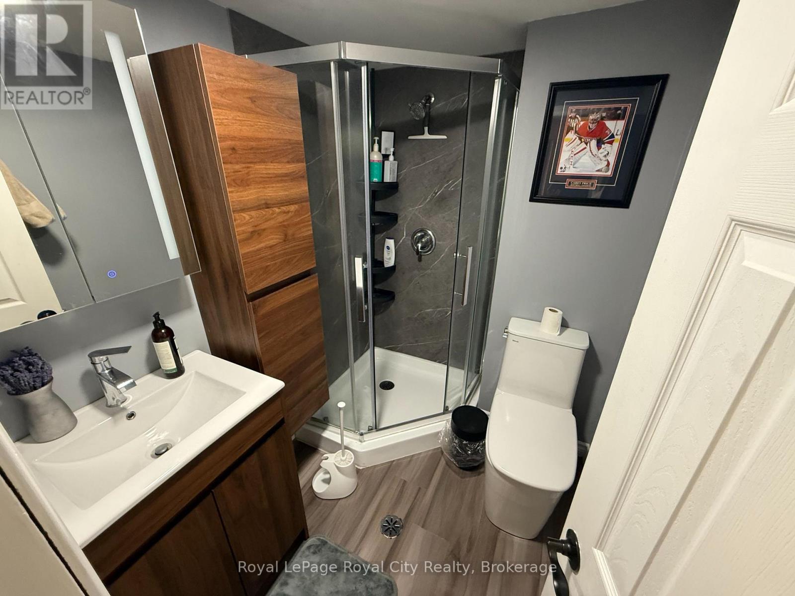 Basement - 125 Grove Street, Guelph, Ontario  N1E 2W8 - Photo 10 - X12471097