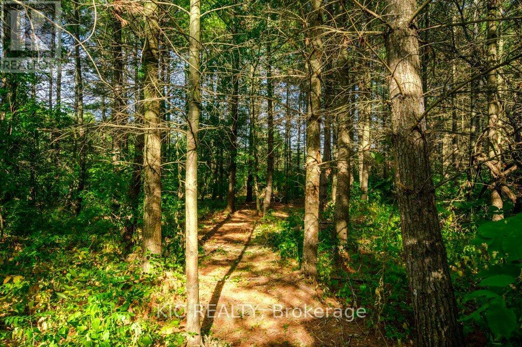 804 8th Line West Line, Trent Hills, Ontario  K0L 1L0 - Photo 38 - X12404030