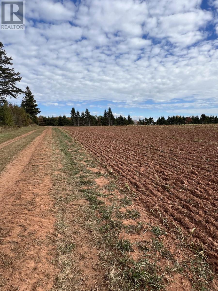 Lot 27 County Line Road, Shamrock, Prince Edward Island