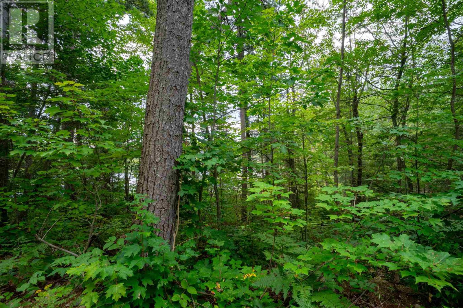 1049d Cookhouse Rd, The North Shore, Ontario  P0R 1A0 - Photo 11 - SM252405