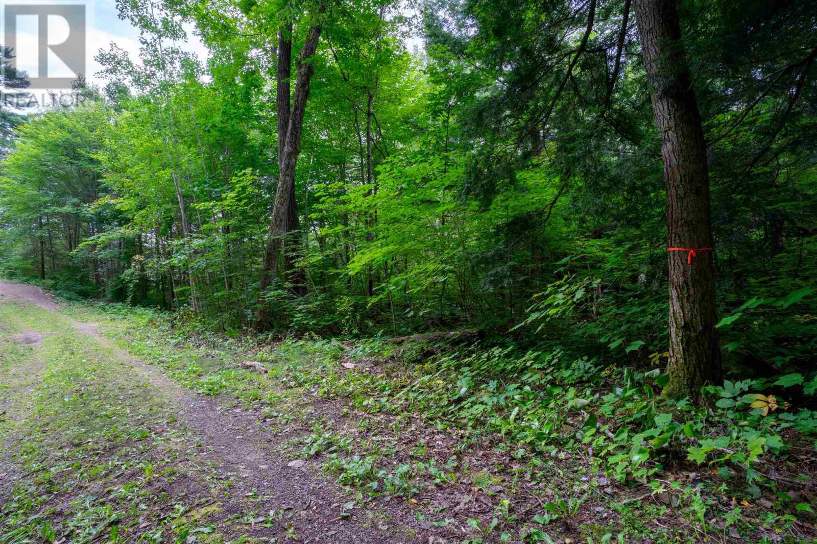 1049d Cookhouse Rd, The North Shore, Ontario  P0R 1A0 - Photo 12 - SM252405