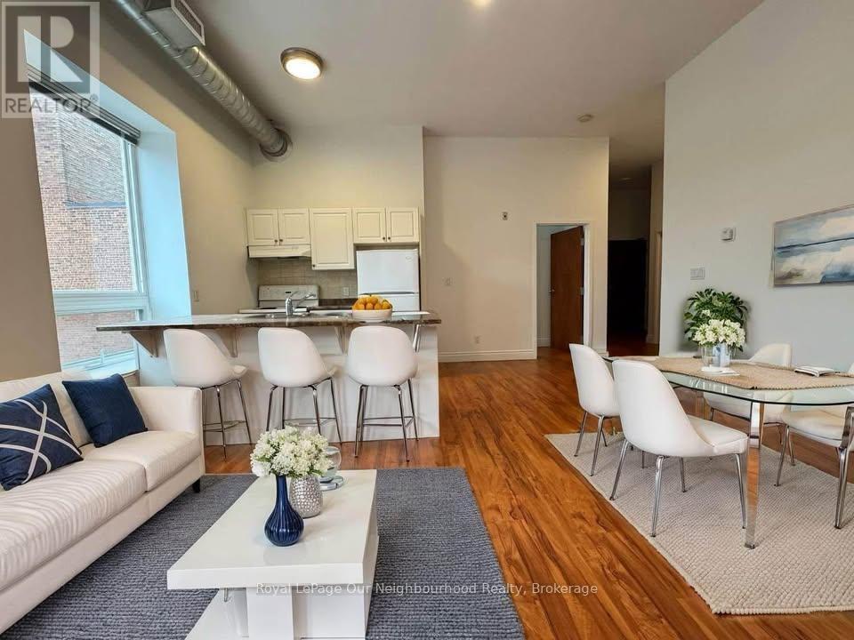 201 - 78 Dallhousie Street, Brantford, Ontario  N3T 2J2 - Photo 1 - X12471270