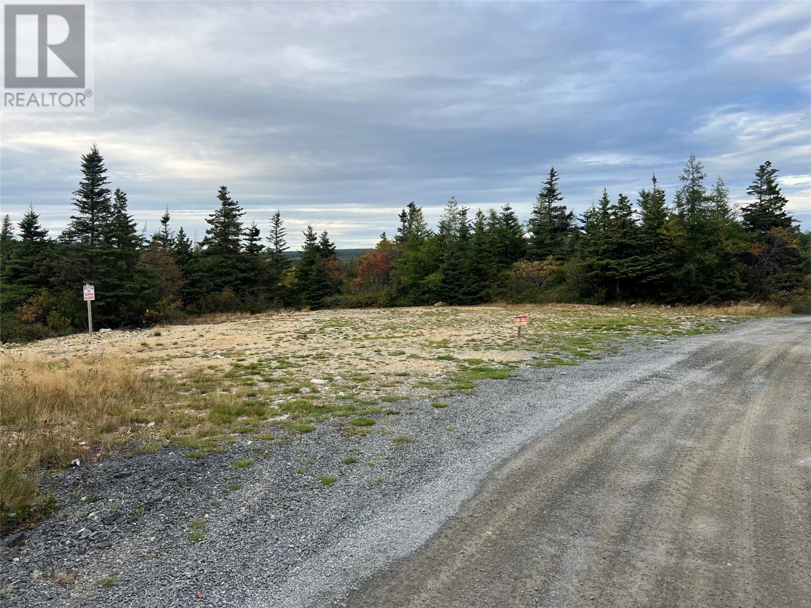 72 Gully Path, Harbour Grace, Newfoundland & Labrador  A1A 2M0 - Photo 11 - 1291674