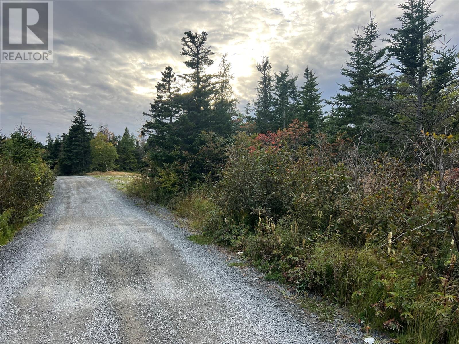 72 Gully Path, Harbour Grace, Newfoundland & Labrador  A1A 2M0 - Photo 13 - 1291674