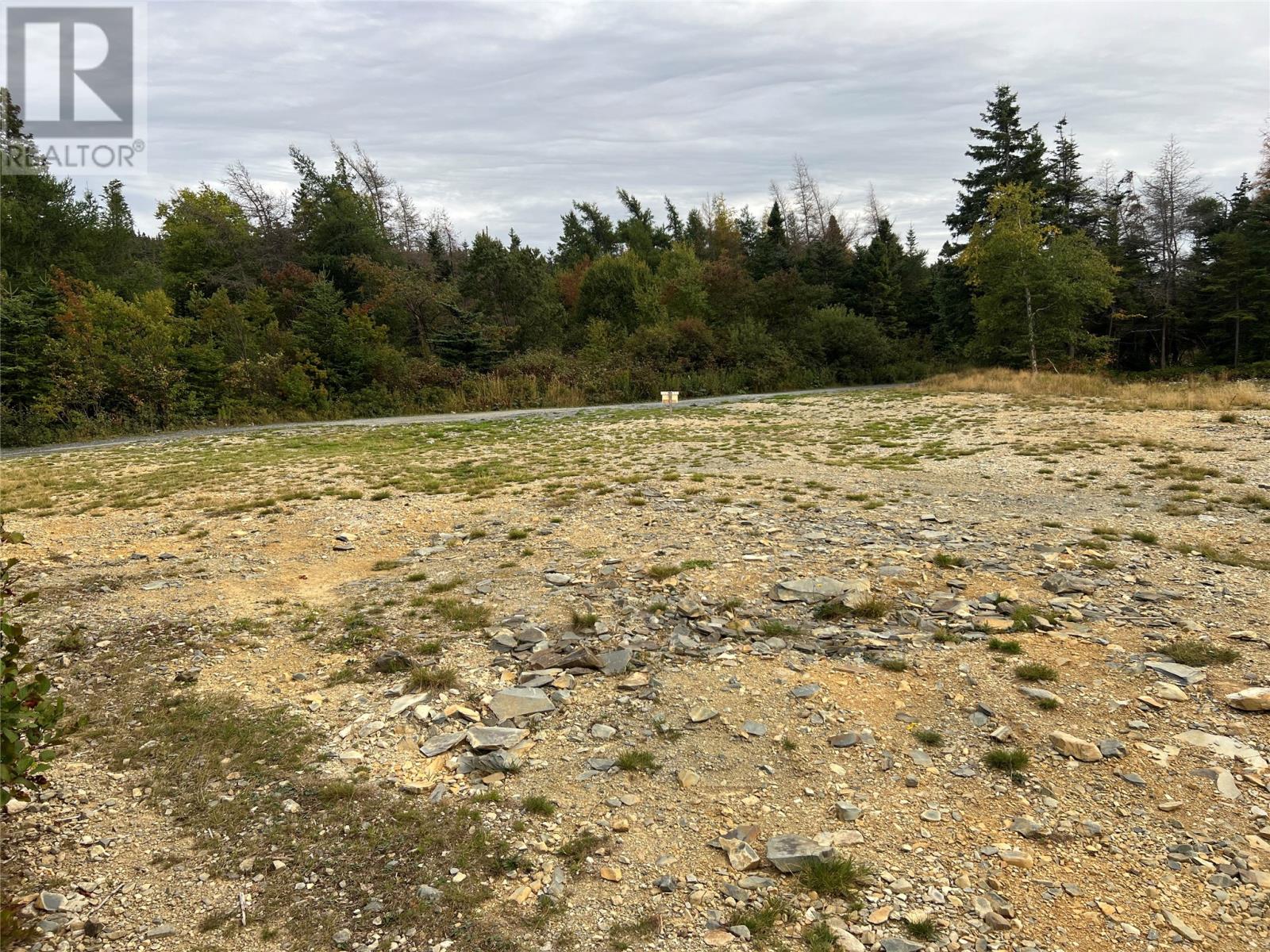 72 Gully Path, Harbour Grace, Newfoundland & Labrador  A1A 2M0 - Photo 9 - 1291674