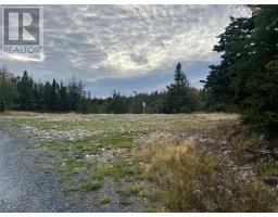 72 Gully Path, Harbour Grace, Newfoundland & Labrador