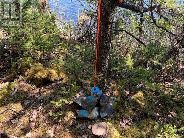 Lot 1 Upper Branch Road, Upper Branch, Nova Scotia  B0R 1E0 - Photo 4 - 202512448