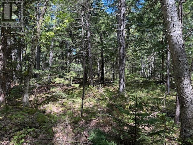 Lot 1 Upper Branch Road, Upper Branch, Nova Scotia  B0R 1E0 - Photo 8 - 202512448