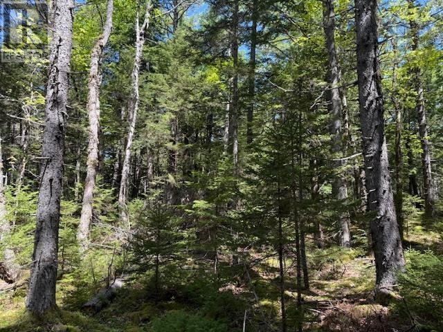 Lot 1 Upper Branch Road, Upper Branch, Nova Scotia  B0R 1E0 - Photo 5 - 202512448