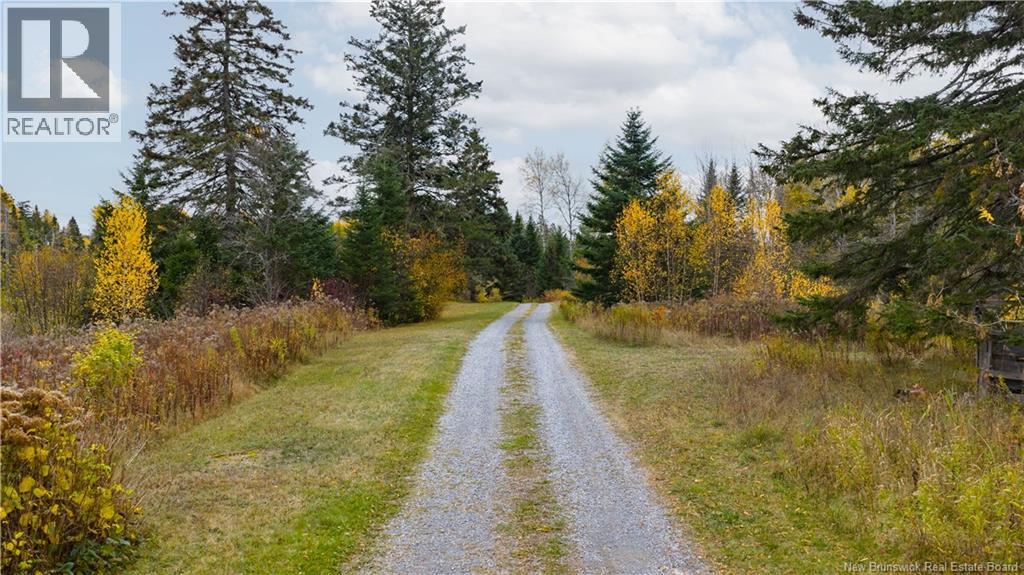 713 Rte 121, Bloomfield, New Brunswick  E5N 4V2 - Photo 2 - NB126882
