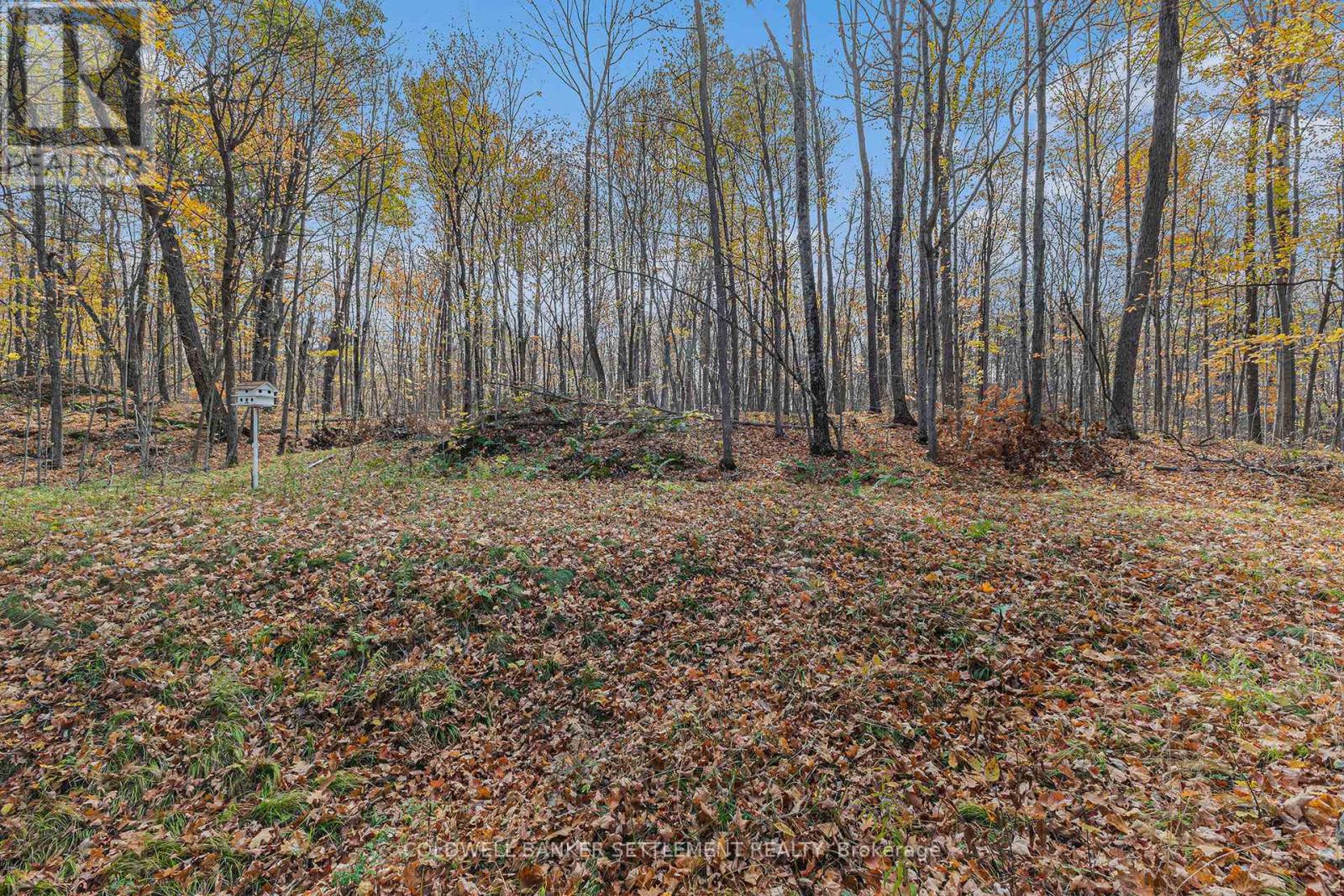 411 Yvon Lane, Rideau Lakes, Ontario  K0G 1X0 - Photo 35 - X12471300