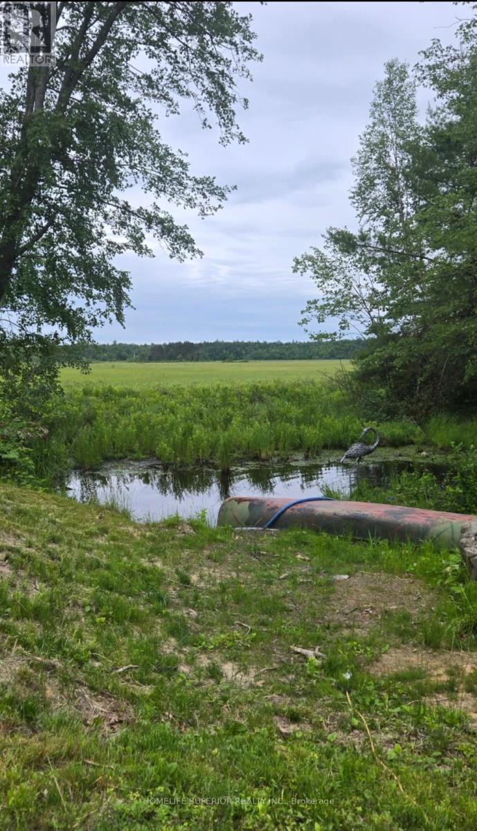 5497 County Rd 46, Havelock-Belmont-Methuen, Ontario  K0L 1Z0 - Photo 19 - X12466717