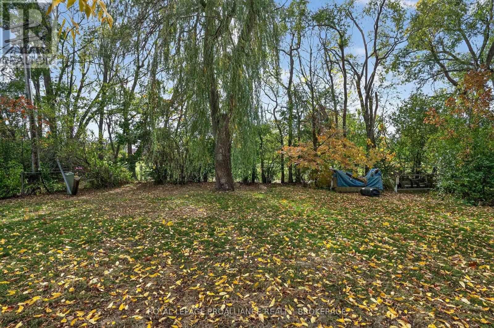 259 Fairway Hill Crescent, Kingston (Central City West), Ontario  K7M 2B5 - Photo 44 - X12471342