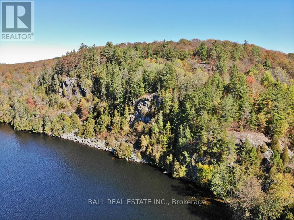 1144 Jordan Lake Road, Highlands East, Ontario  K0L 2A0 - Photo 42 - X12470294